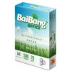 Giấy In Bãi Bằng – ĐL 70gsm